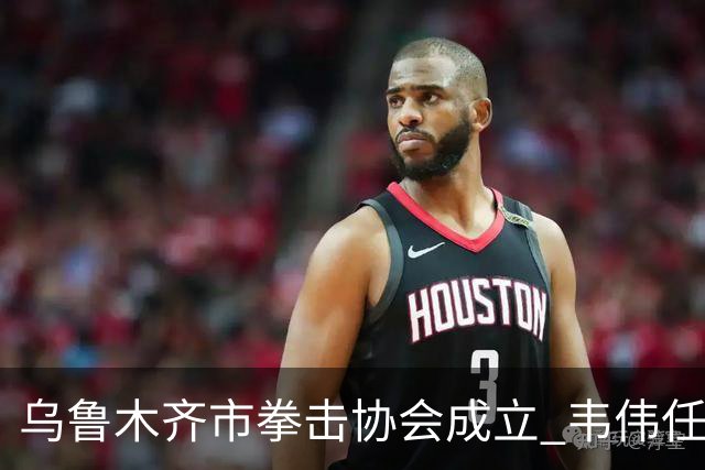 乌鲁木齐市拳击协会成立 韦伟任会长